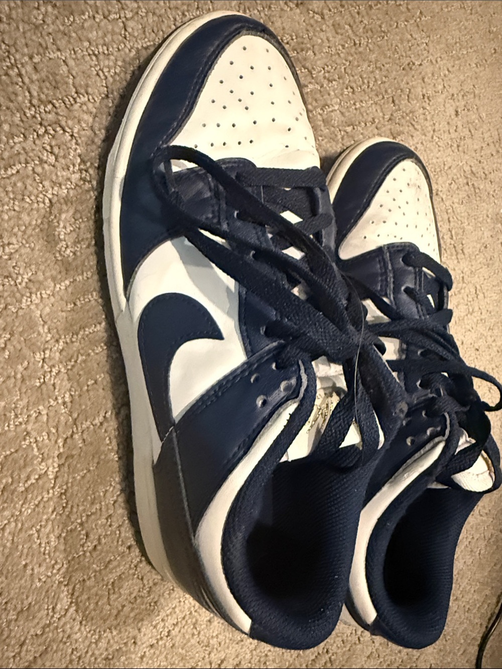 Nike Navy and White Low-Top Sneakers